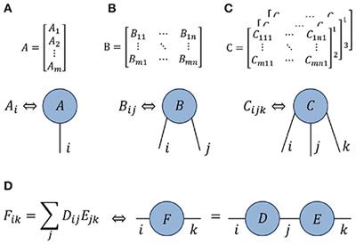 Frontiers | A Practical Guide To The Numerical Implementation Of Tensor ...